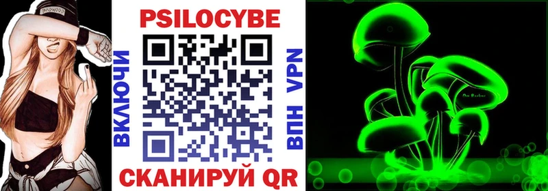гидра зеркало  закладка  Балабаново  Псилоцибиновые грибы Psilocybe 